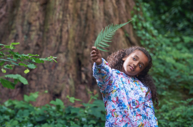 Primary school student holding a leaf in a forest.